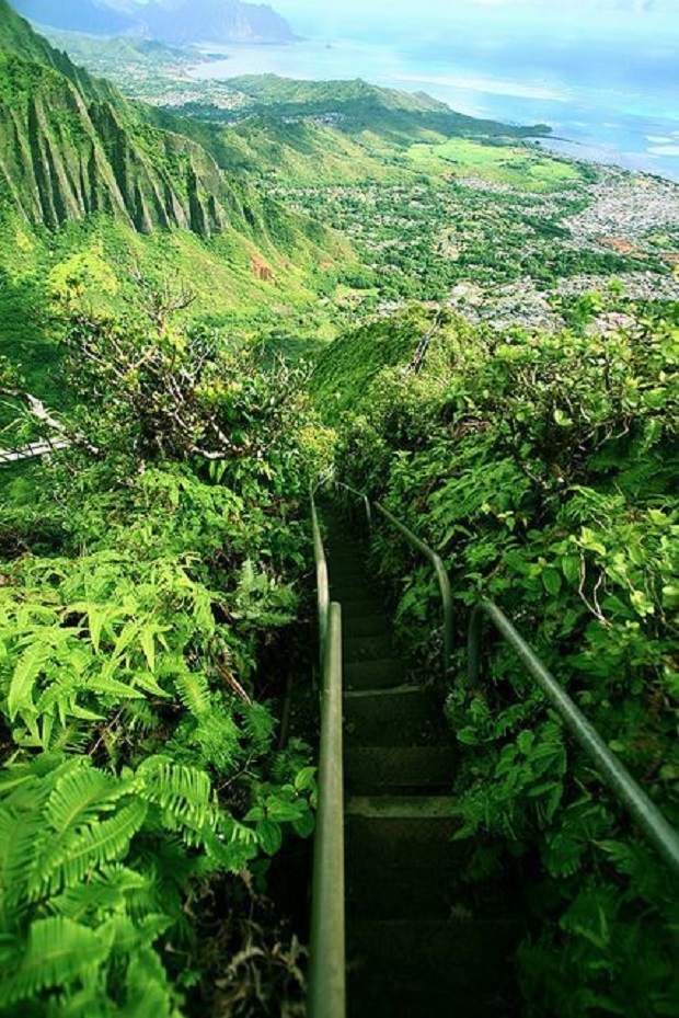 Haiku Stairs of Oahu, Hawaii Adventure Vacation in United States of America