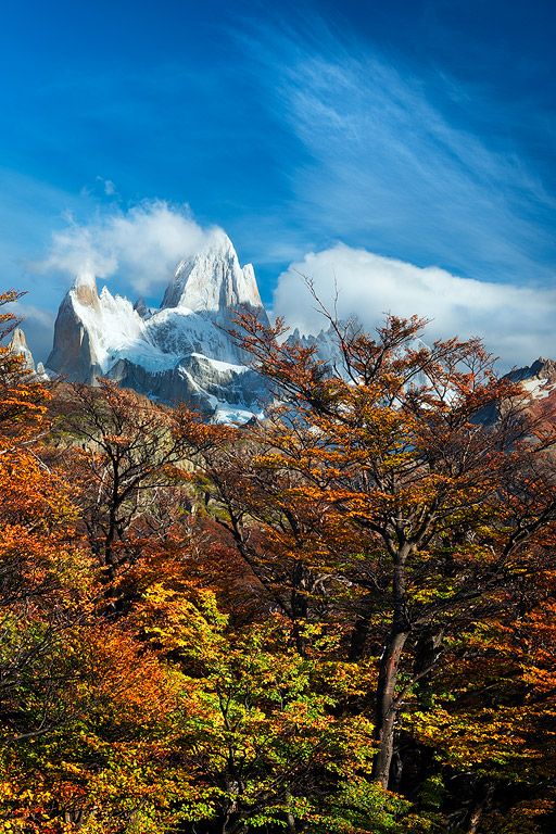 Discover the Wonder of The Los Glaciares National Park in Argentina