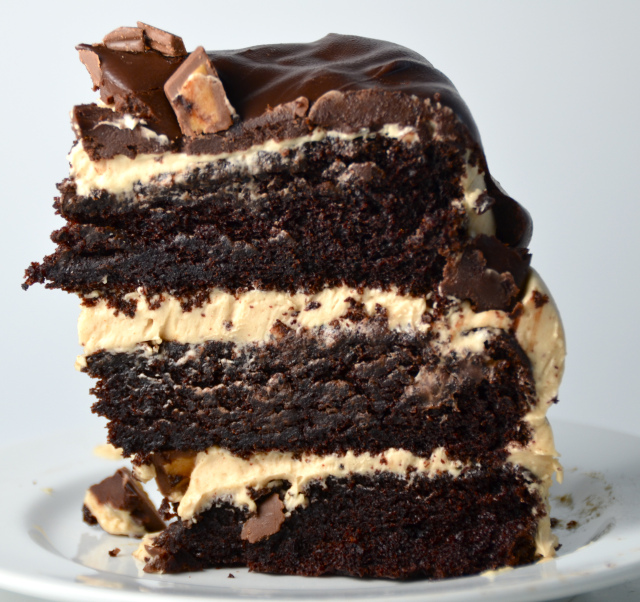 Delicious Chocolate Cake Recipes To Try In 2015