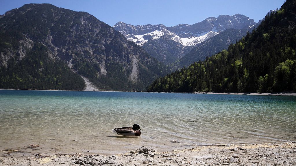 Lake Plansee