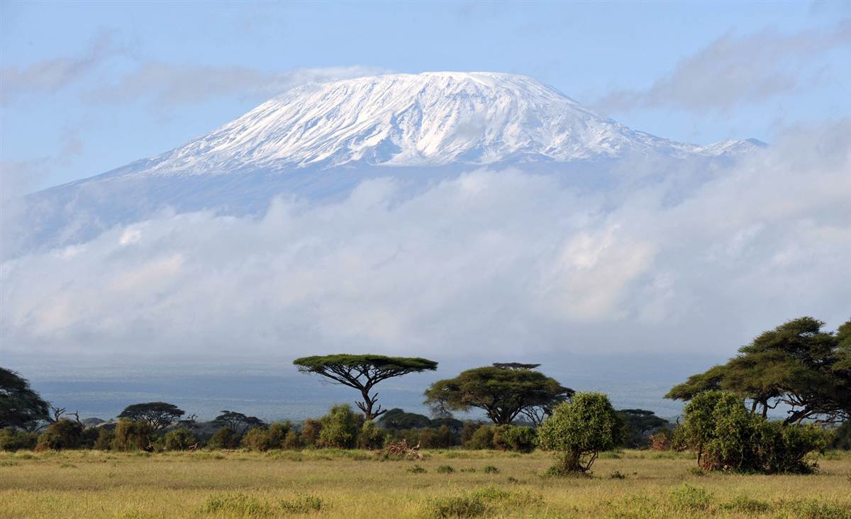 Kilimanjaro