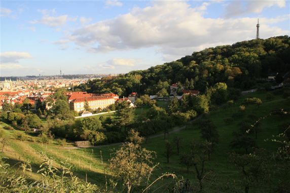 The hill of Petrin Prague