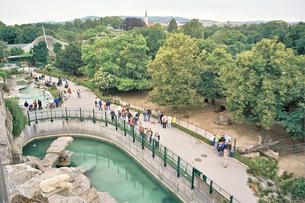 Vienna Tiergarten Schoenbrunn, Austria