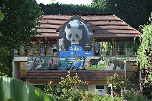 Zooparc Beauval, France