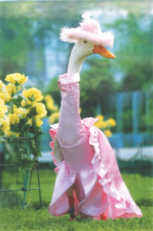 visit the Duck Fashion Show