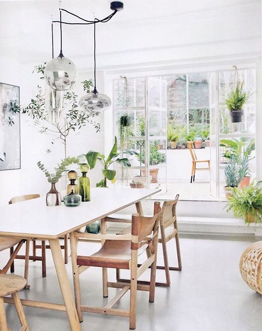 decorating-with-plants