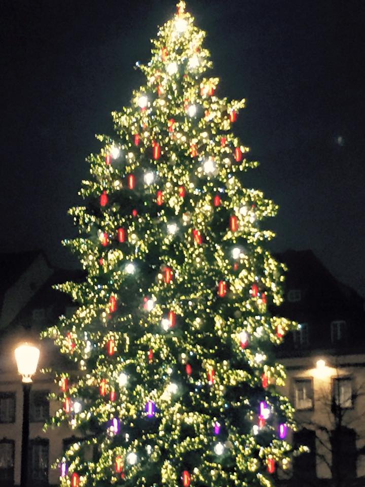 christmas-tree-in-strasbourg