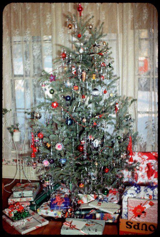 december-1951-christmas-tree