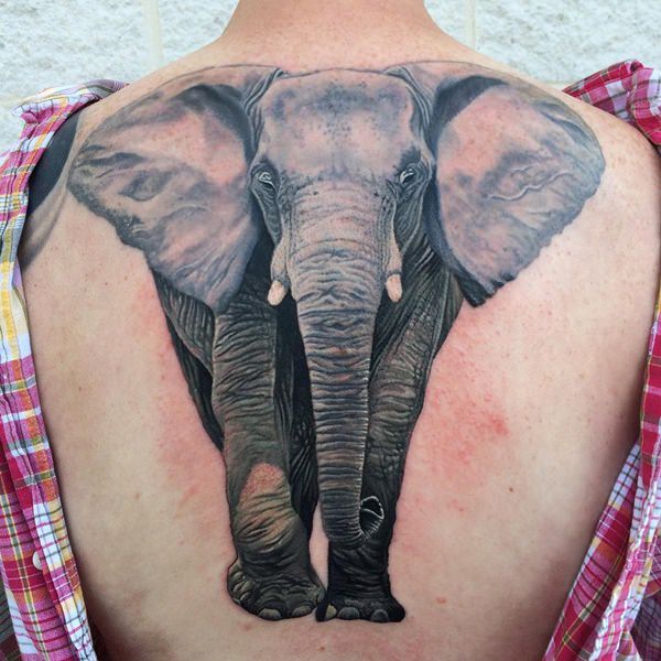 Elephant Tattoo Design Idea