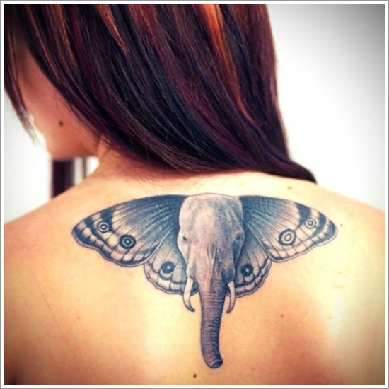 a lover of both butterflies and elephants