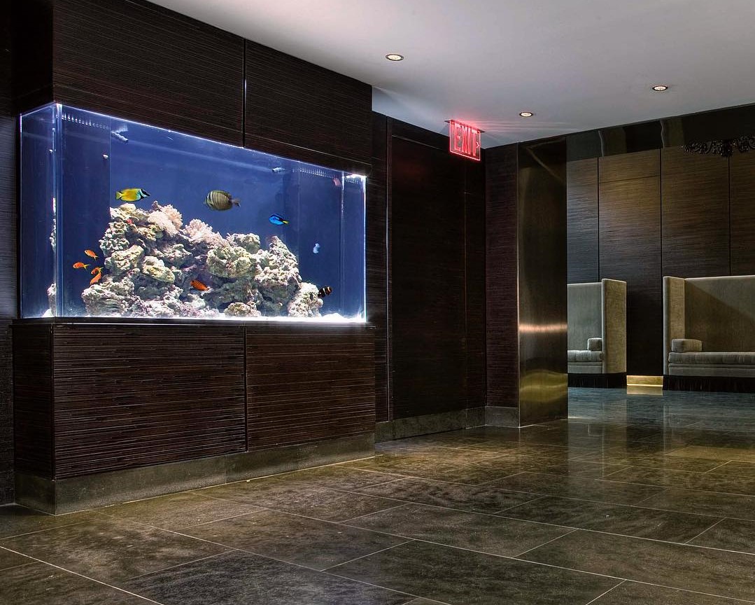 Custom saltwater aquarium wrapped in wenge millwork on Rector Street NYC.