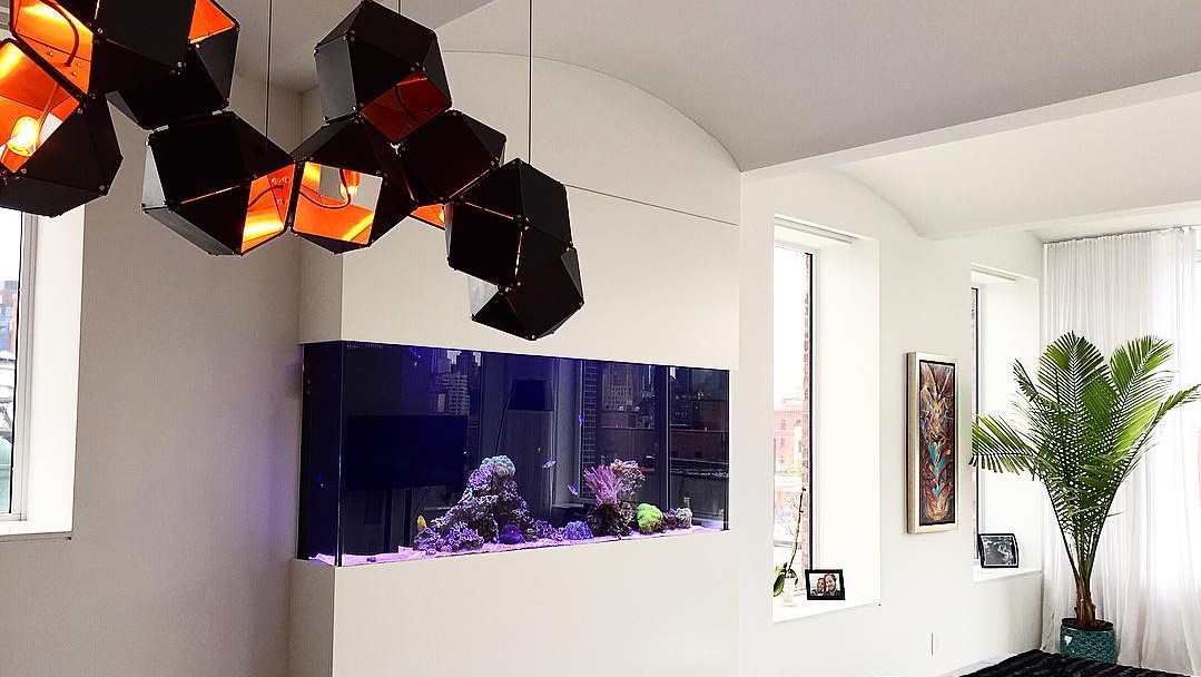 Recently installed reef aquarium in a Christopher Street Penthouse