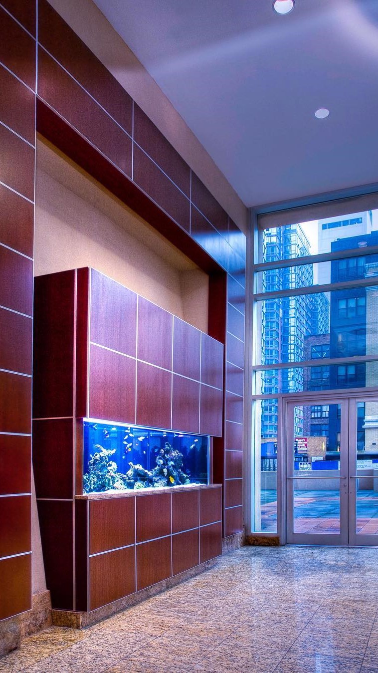 Reef aquarium in residential lobby