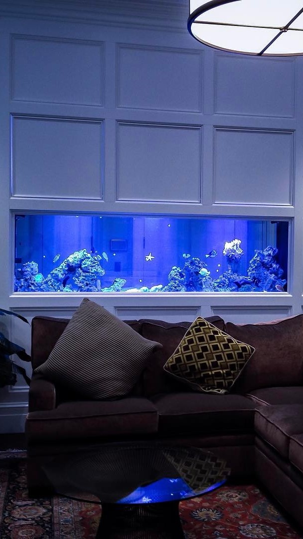 Reef aquarium