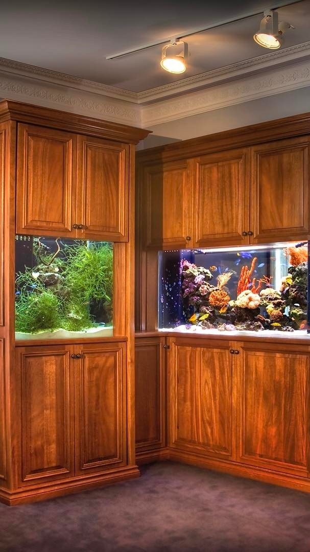 Remembering the time we installed a viewable refugium along with a thriving reef aquarium