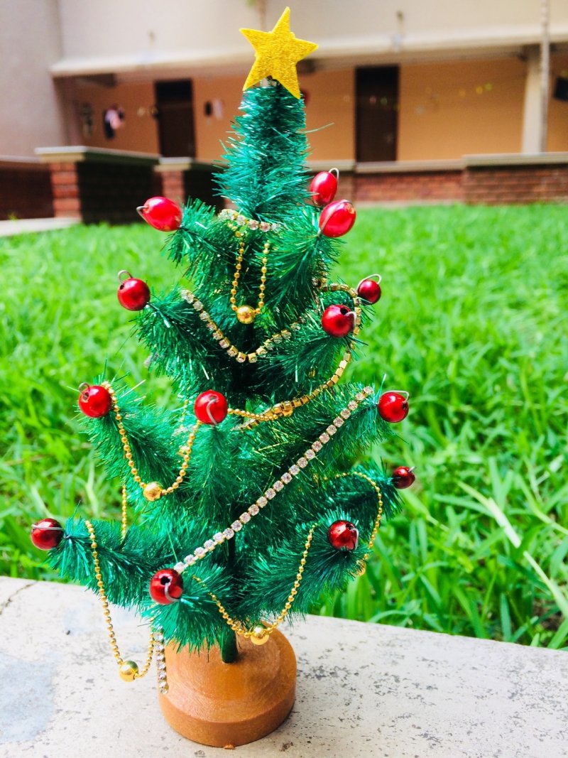 A miniature version of Christmas tree.