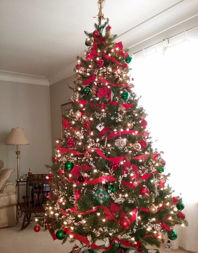 Christmas Tree with light and ornaments.