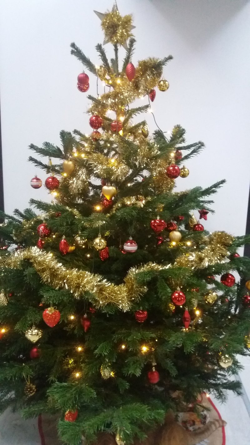 Christmas tree ideas that are simple and festive.