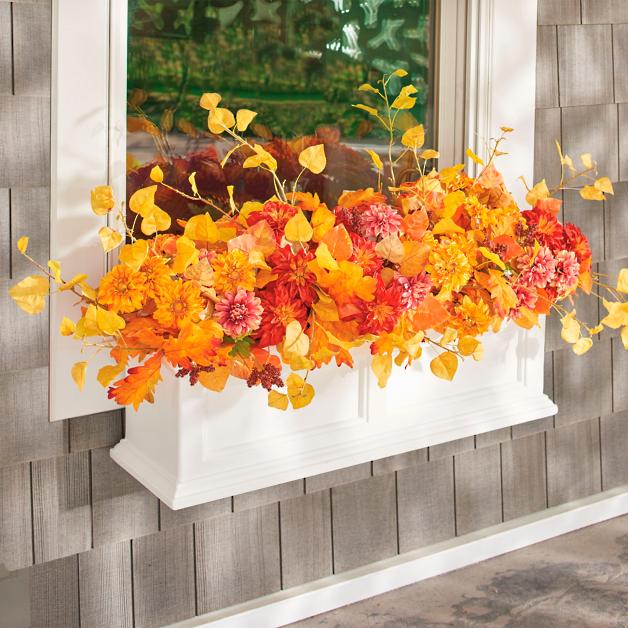 Mum Fall Window Box Filler. 