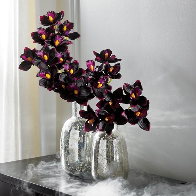 Deep purple Dark Orchid Stems. Halloween Entertainment Ideas