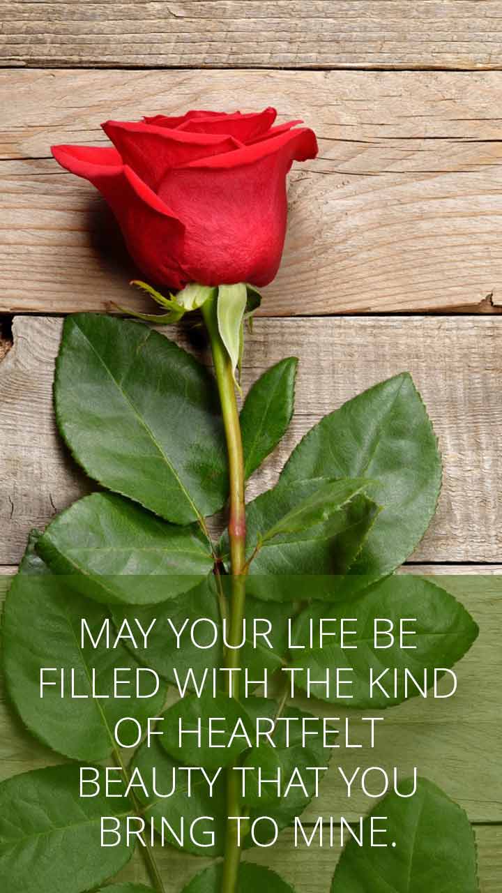 May your life be filled with the kind of heartfelt beauty that you bring to mine.