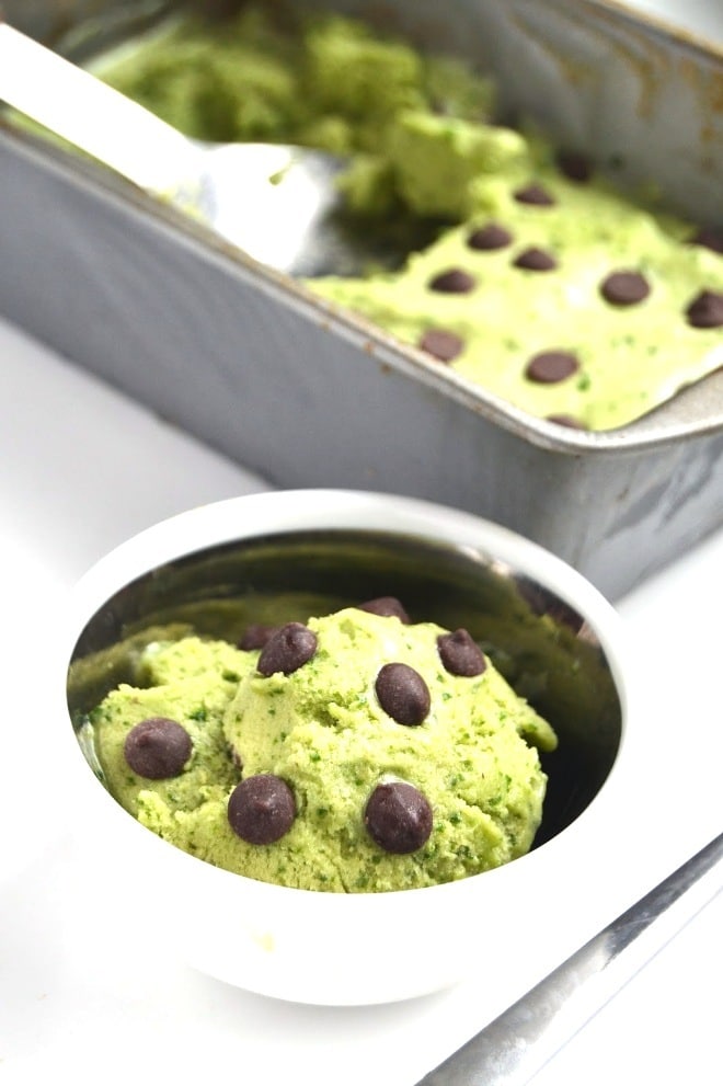 Mint Chocolate Chip Protein Ice Cream.