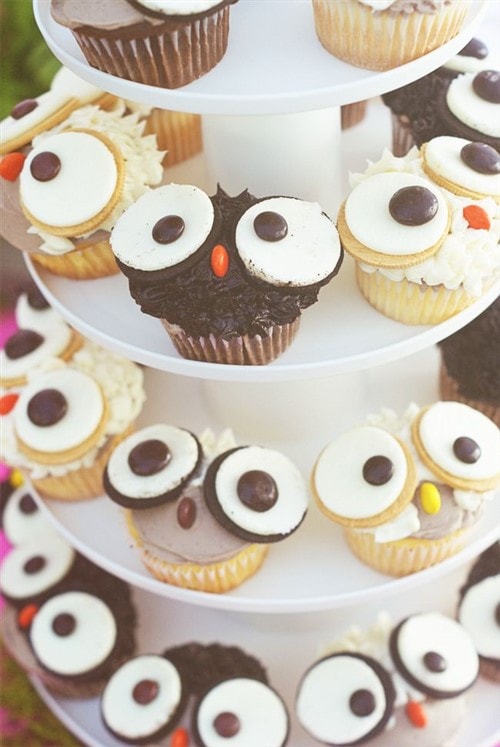 Funny Owl Cupcakes.