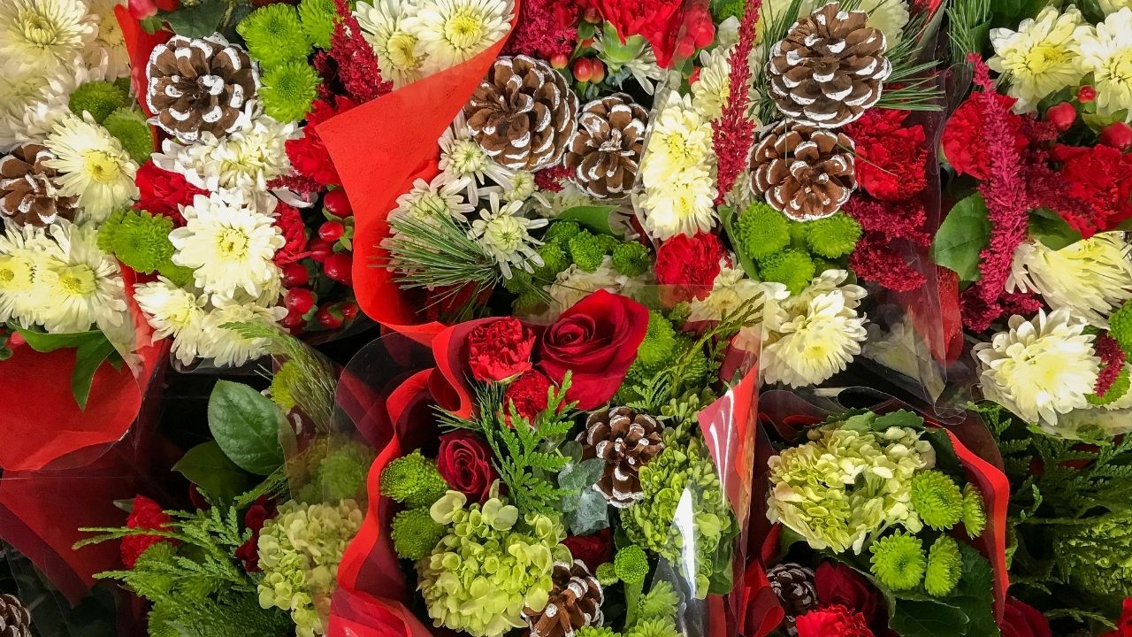 Christmas Flowers