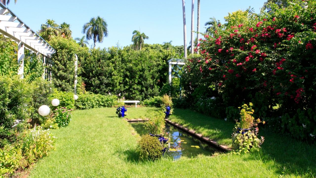 Installing Your First Pond