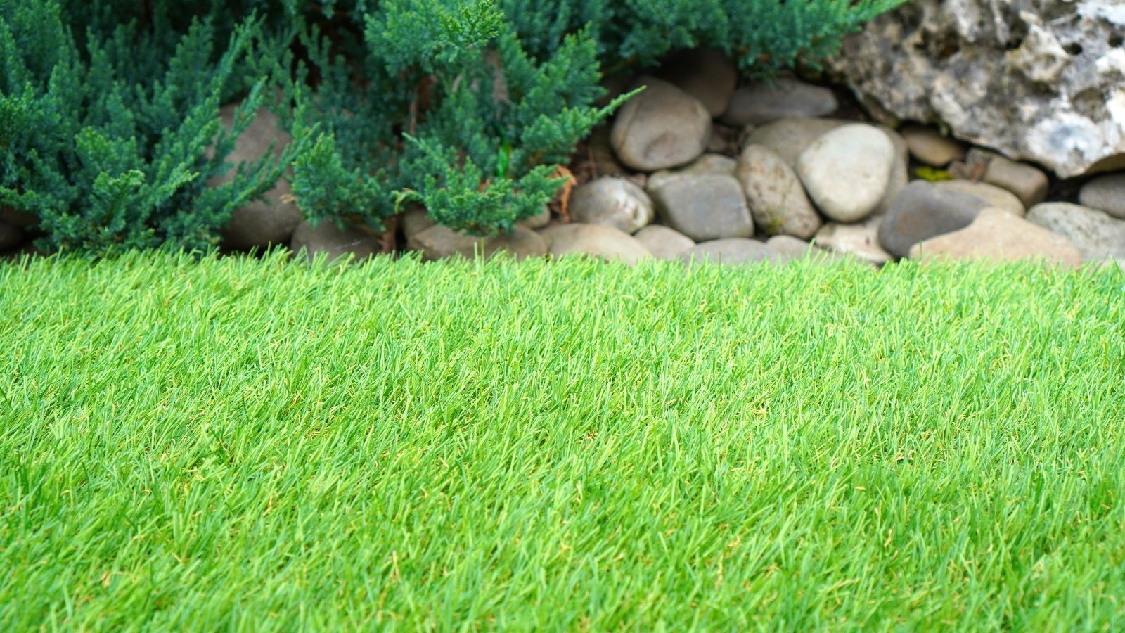 Synthetic Grass for Your Yard