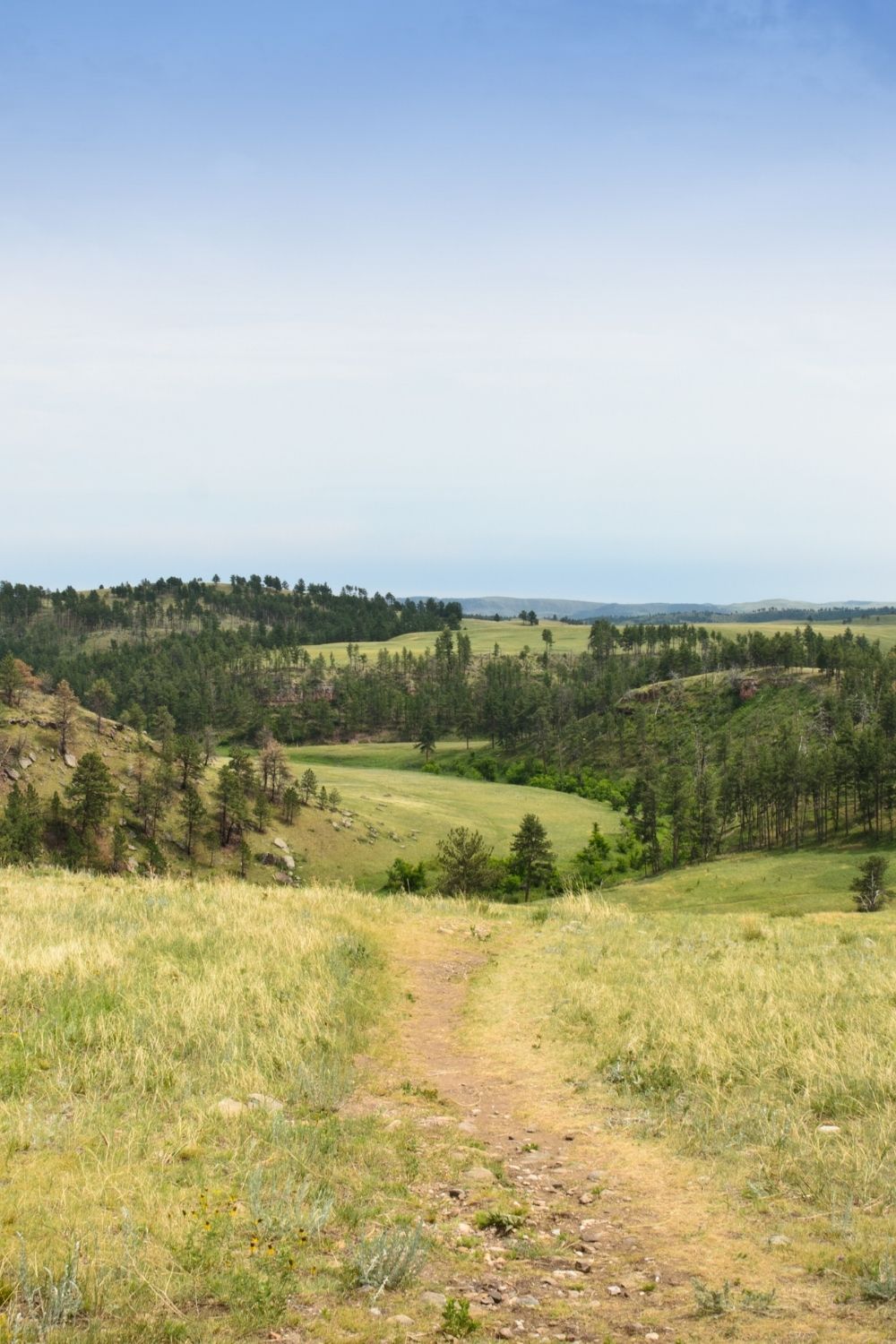 Black Hills National Forest, South Dakota