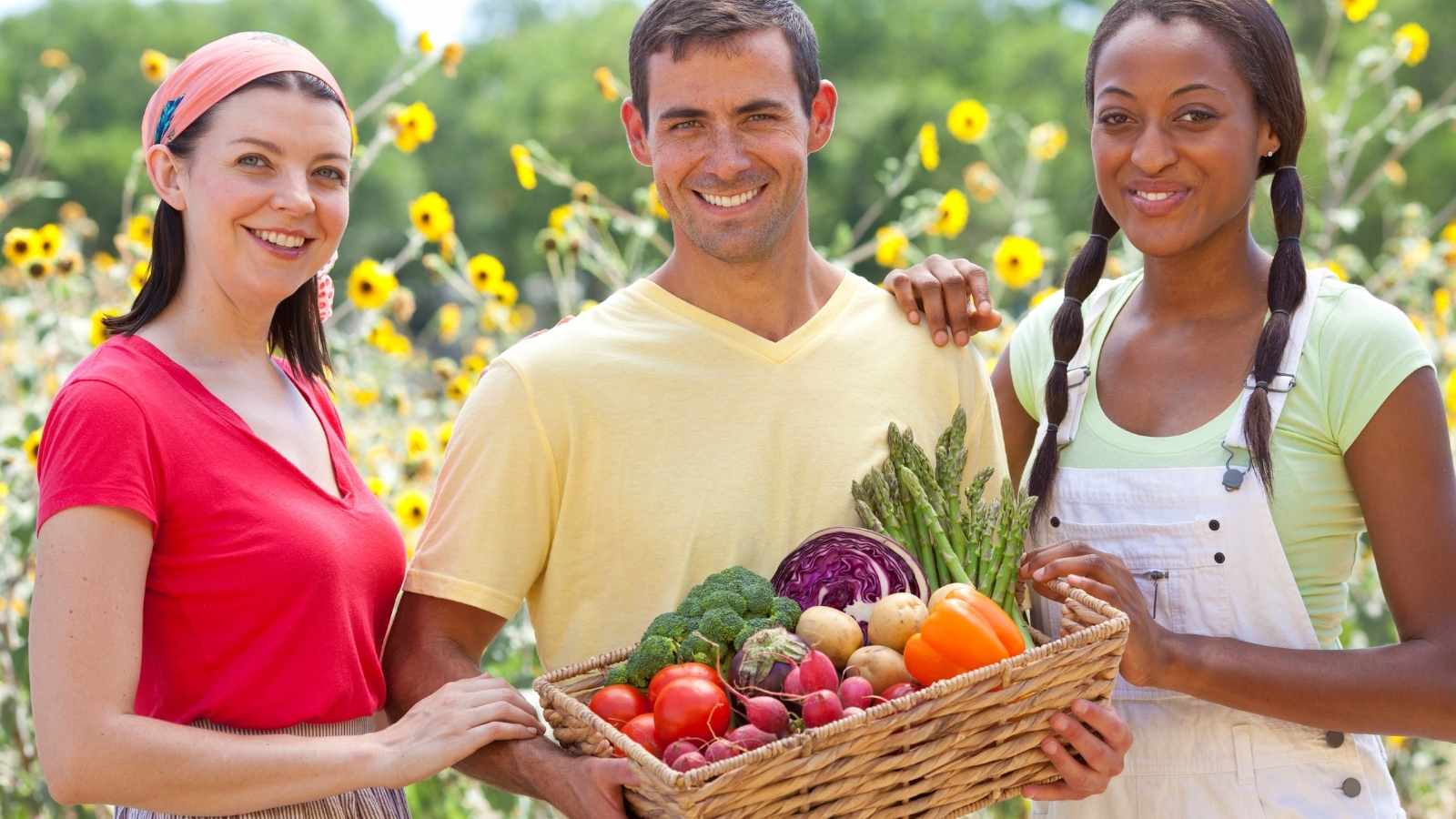 Major Reasons to Switch to Organic Lifestyle Now