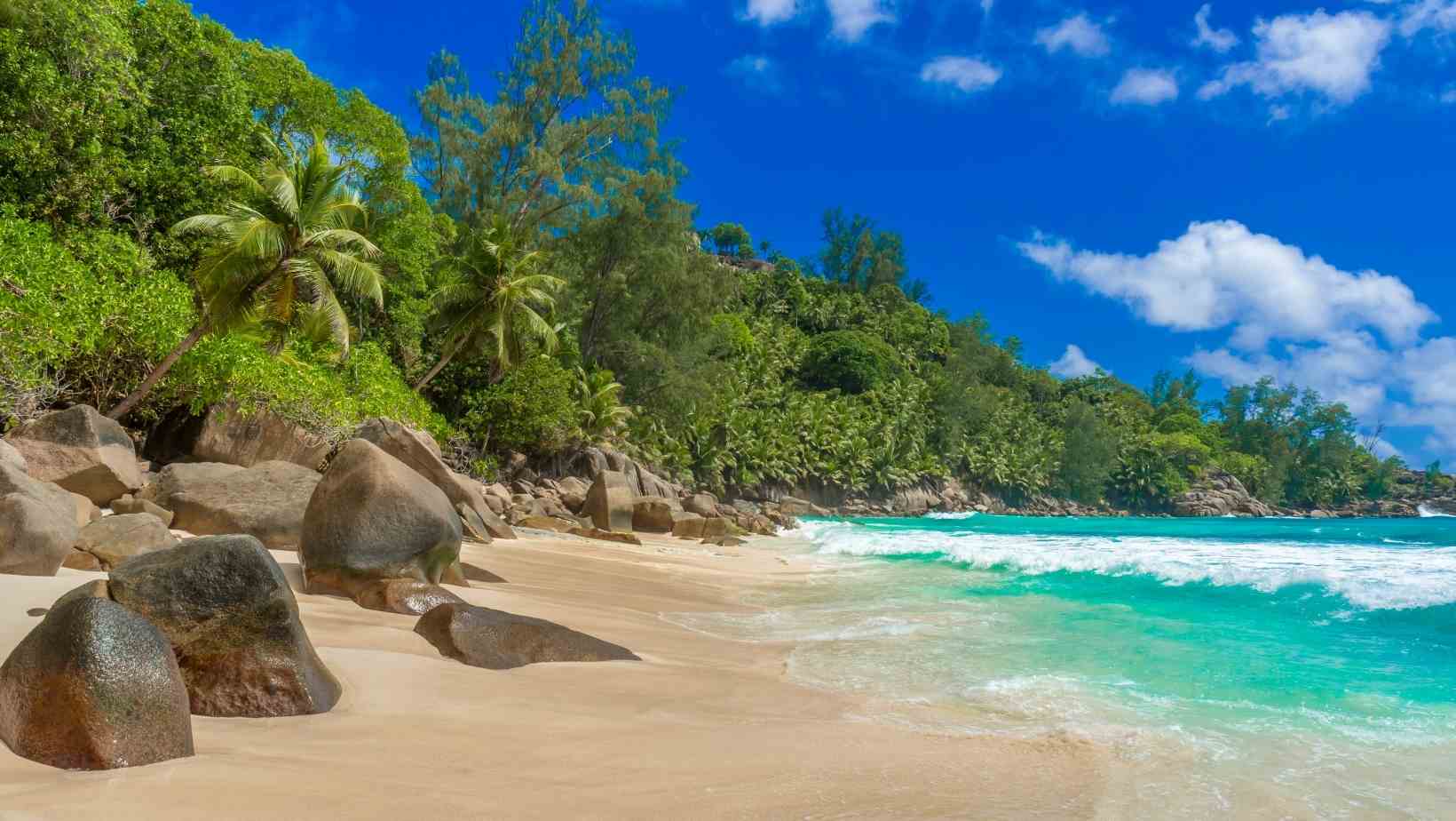 Anse Intendance, Mahé