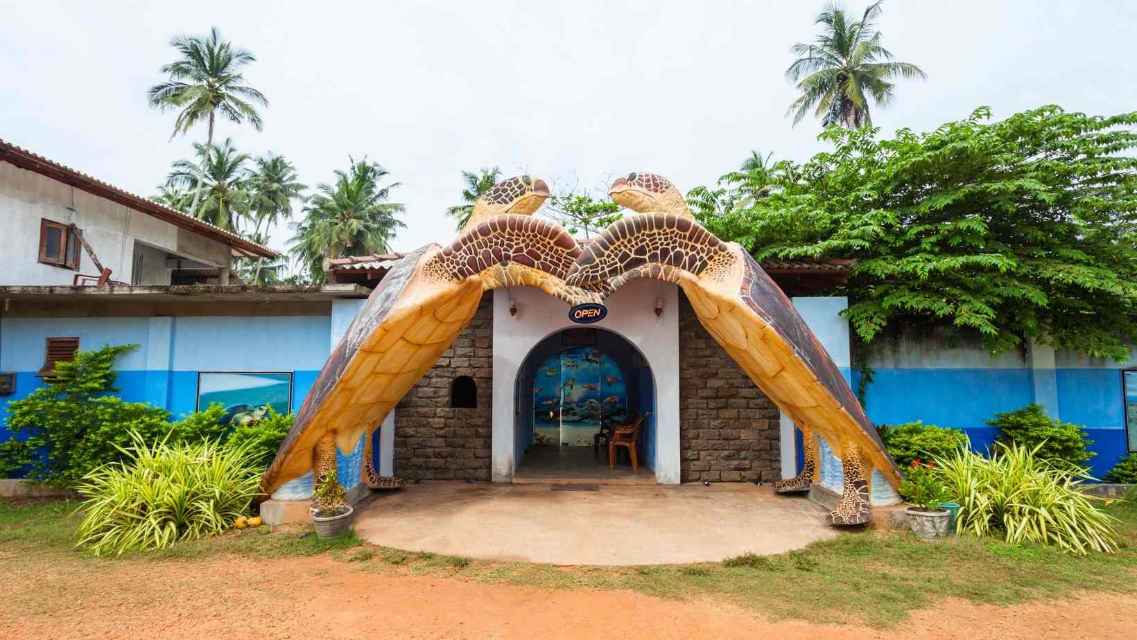 Cayman Turtle Centre