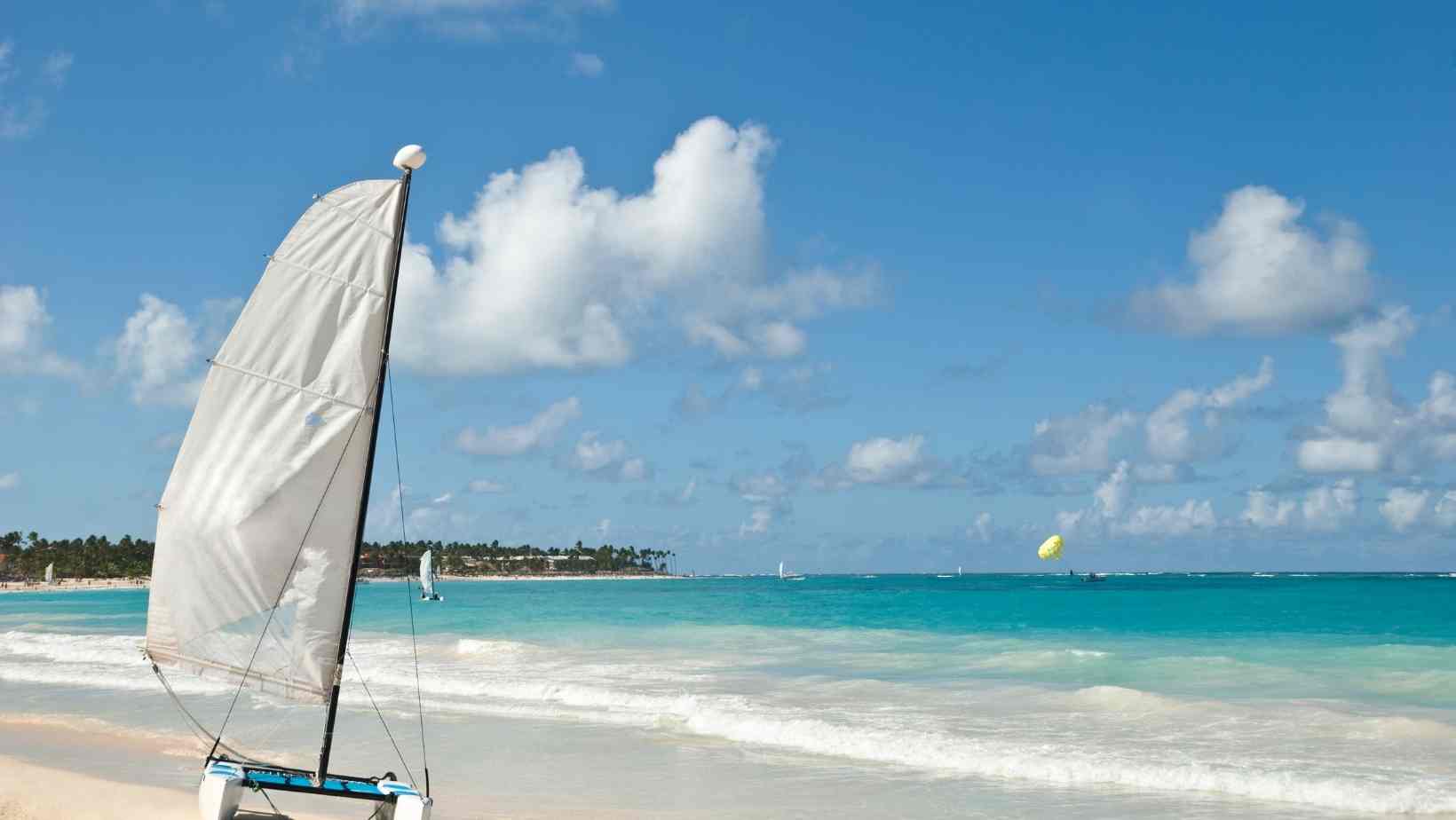 Dominican Republic Palm-lined beach at Punta Cana