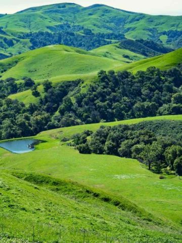 Fiscalini Ranch Preserve