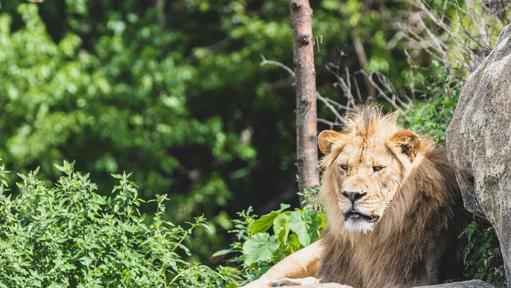 Henry Doorly Zoo and Aquarium in Omaha