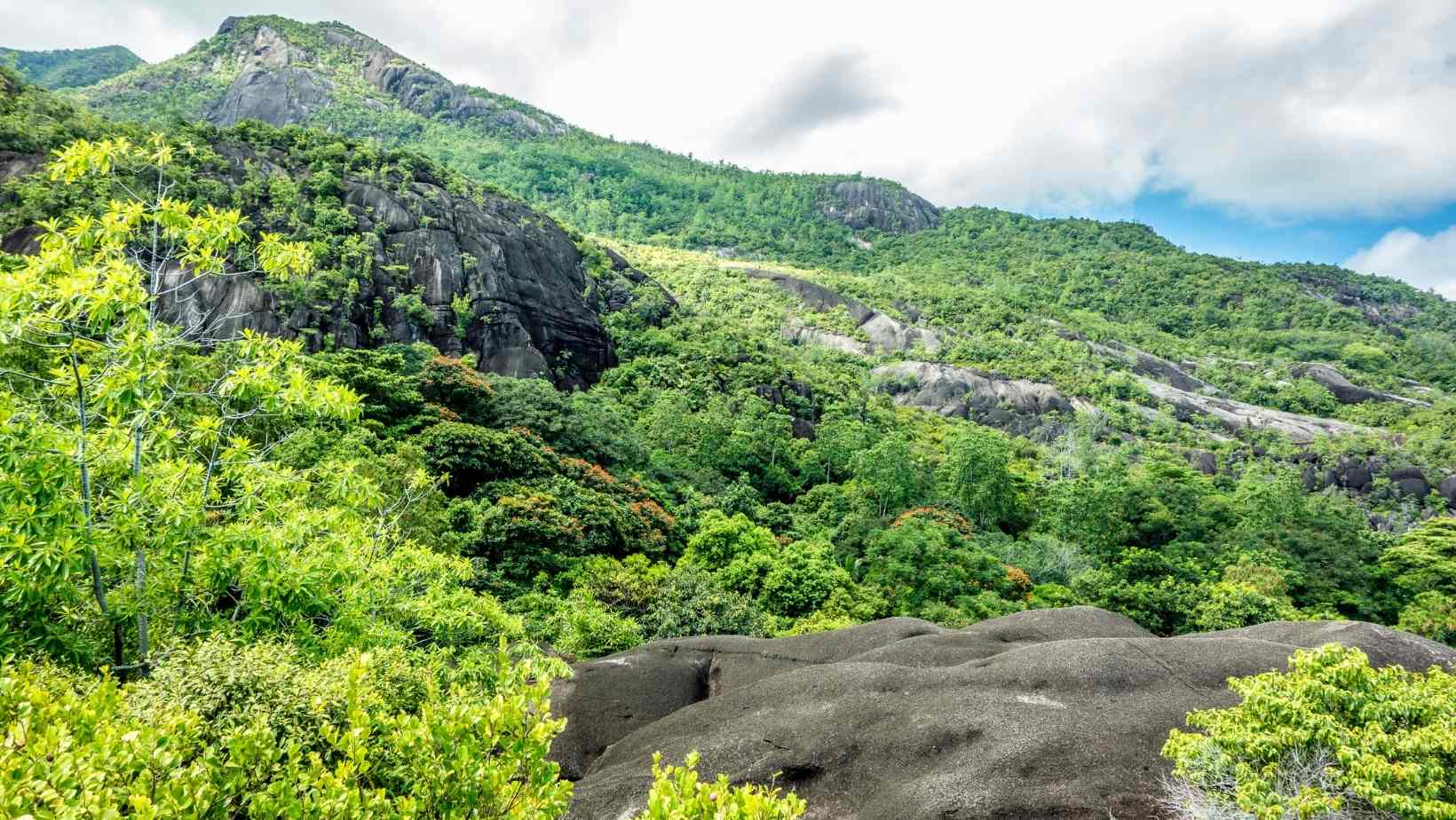 National Park of Seychellois Morne