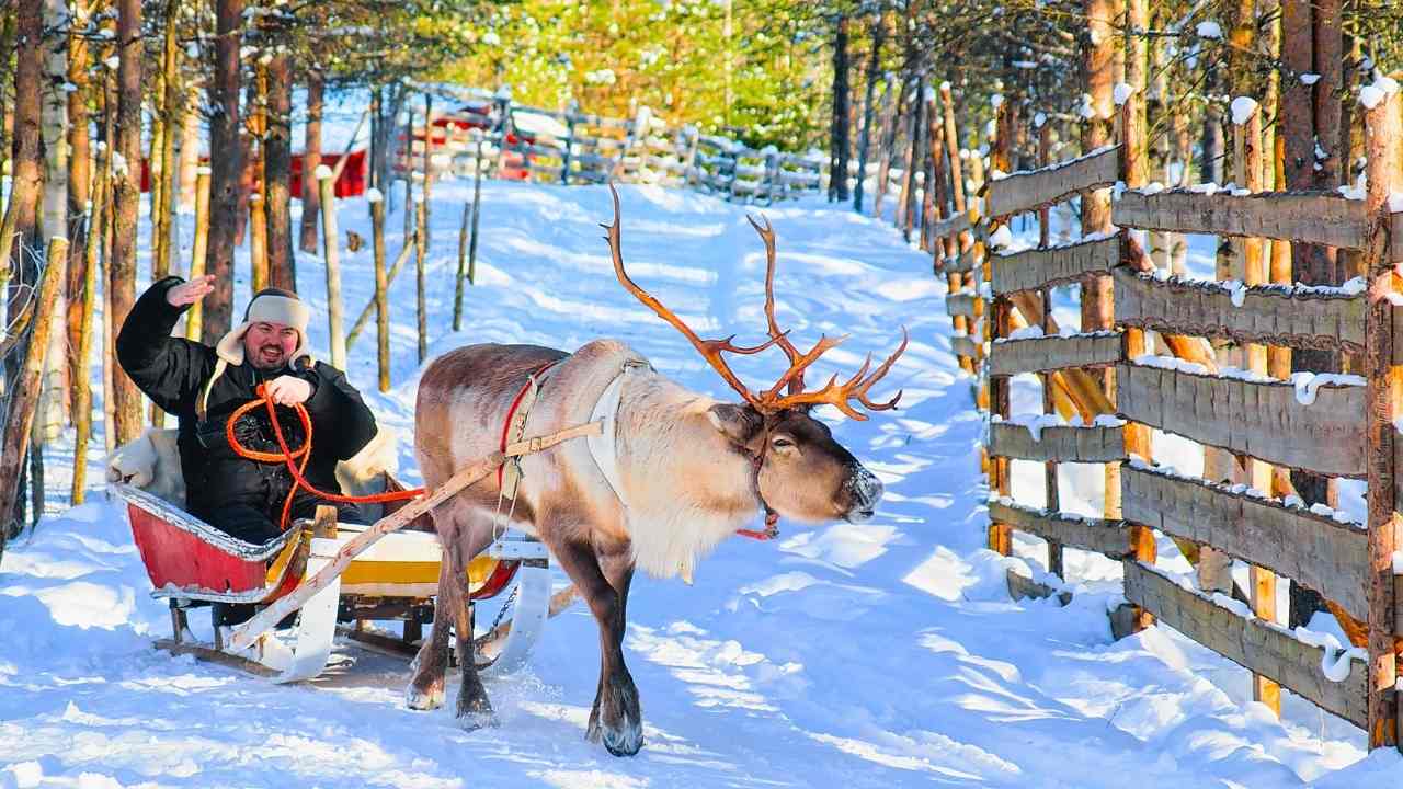 Rides on reindeer sleds