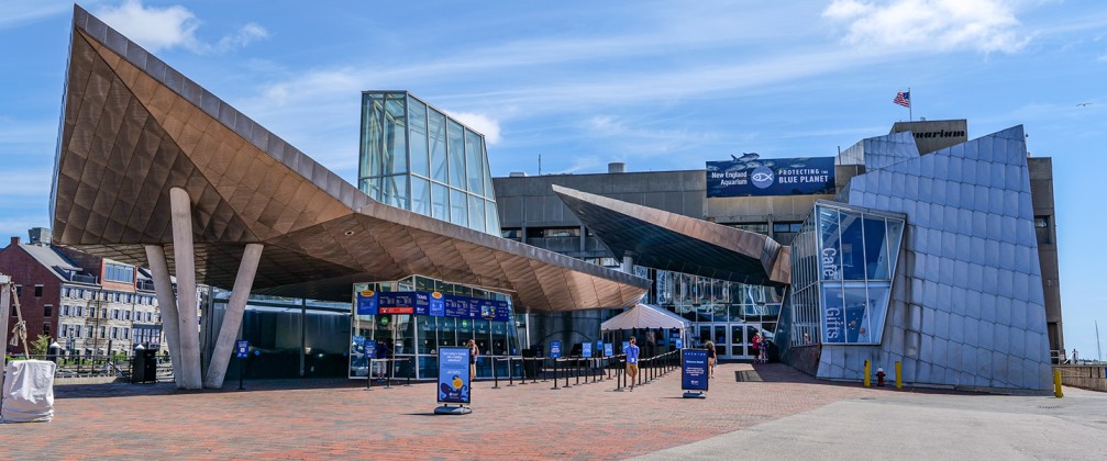 Aquarium of New England