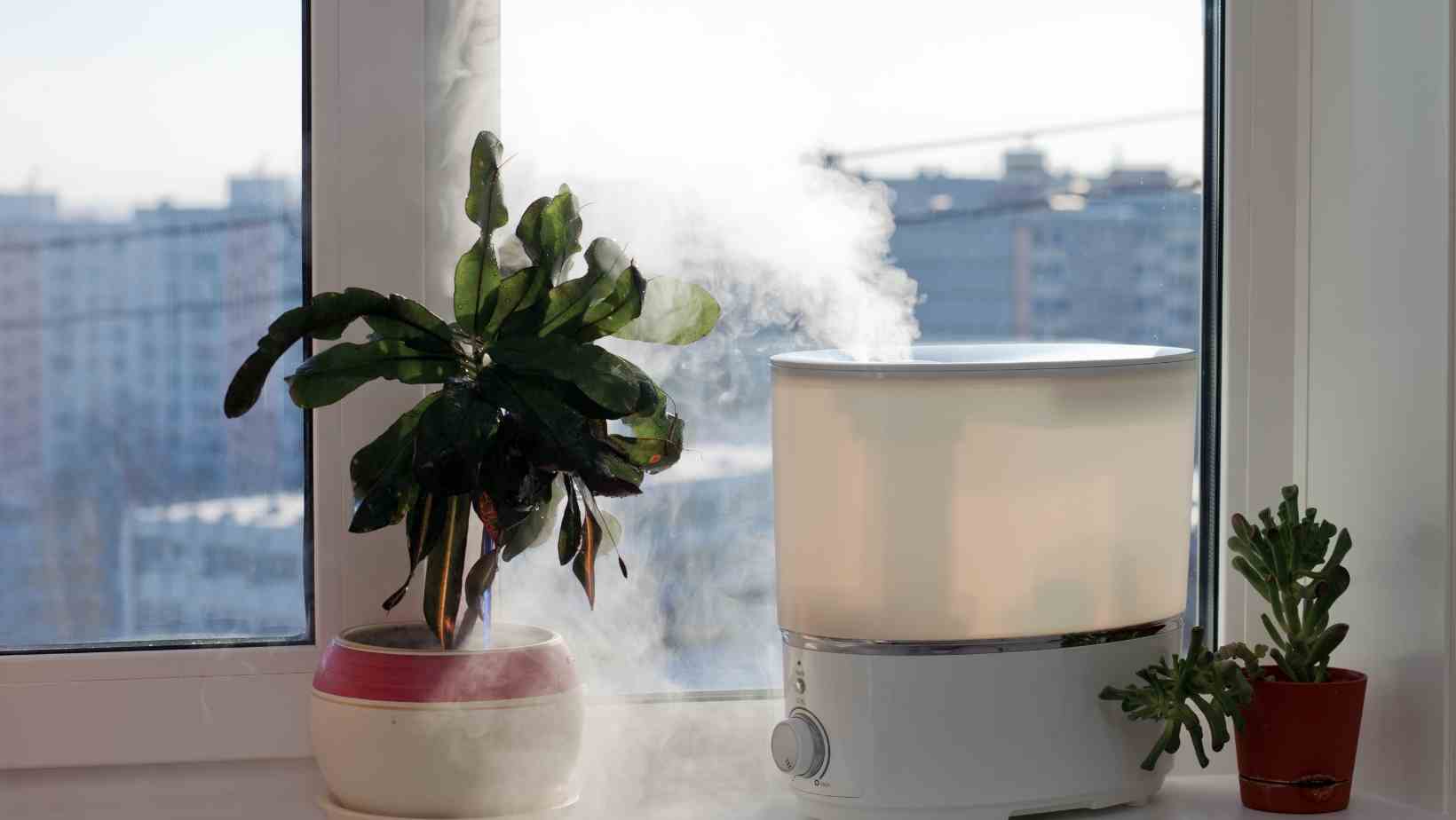 Best Humidifier Hub