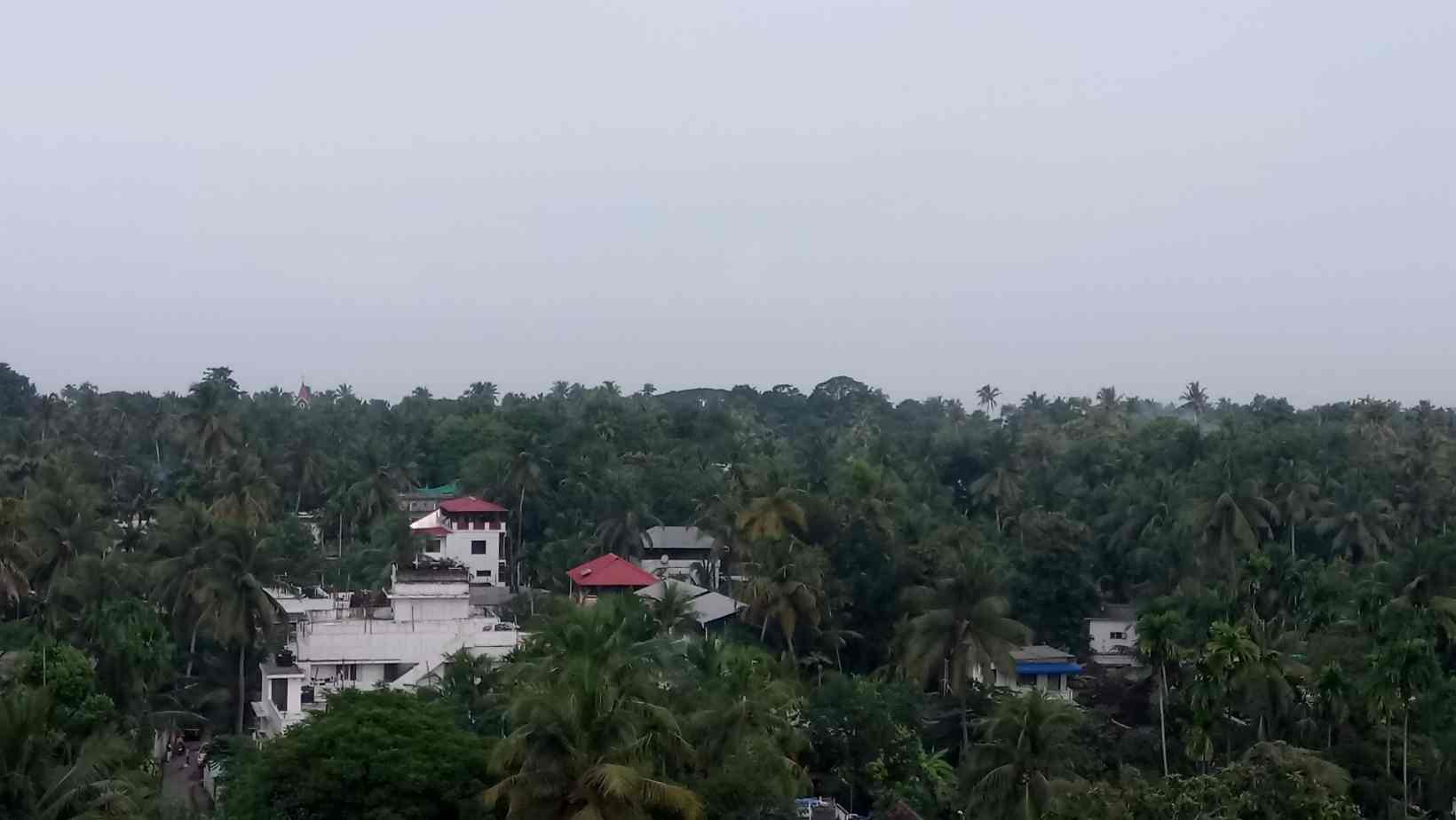 Best place for a night on the town in Cochin