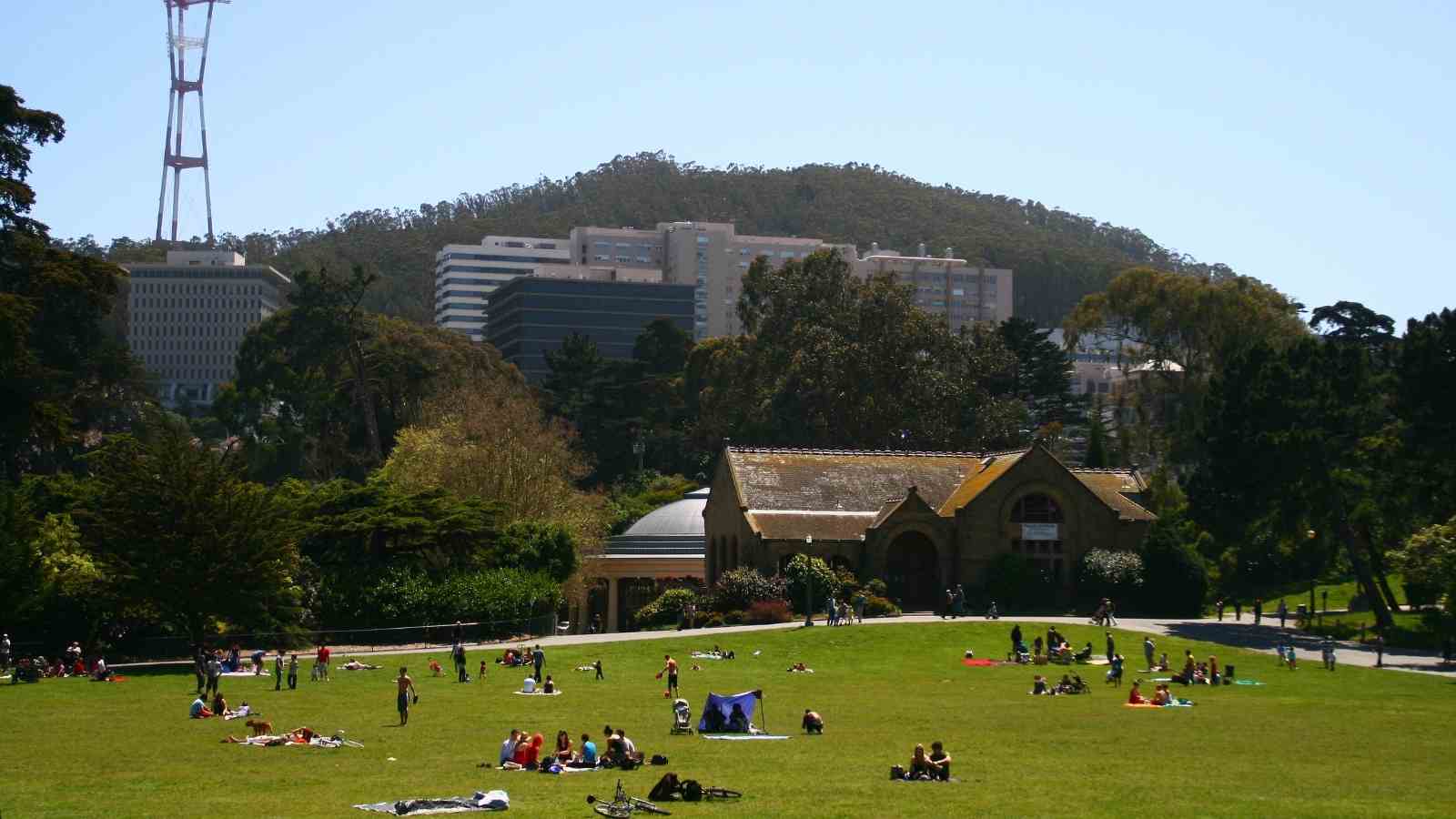 Golden Gate Park - Things to Do in San Francisco