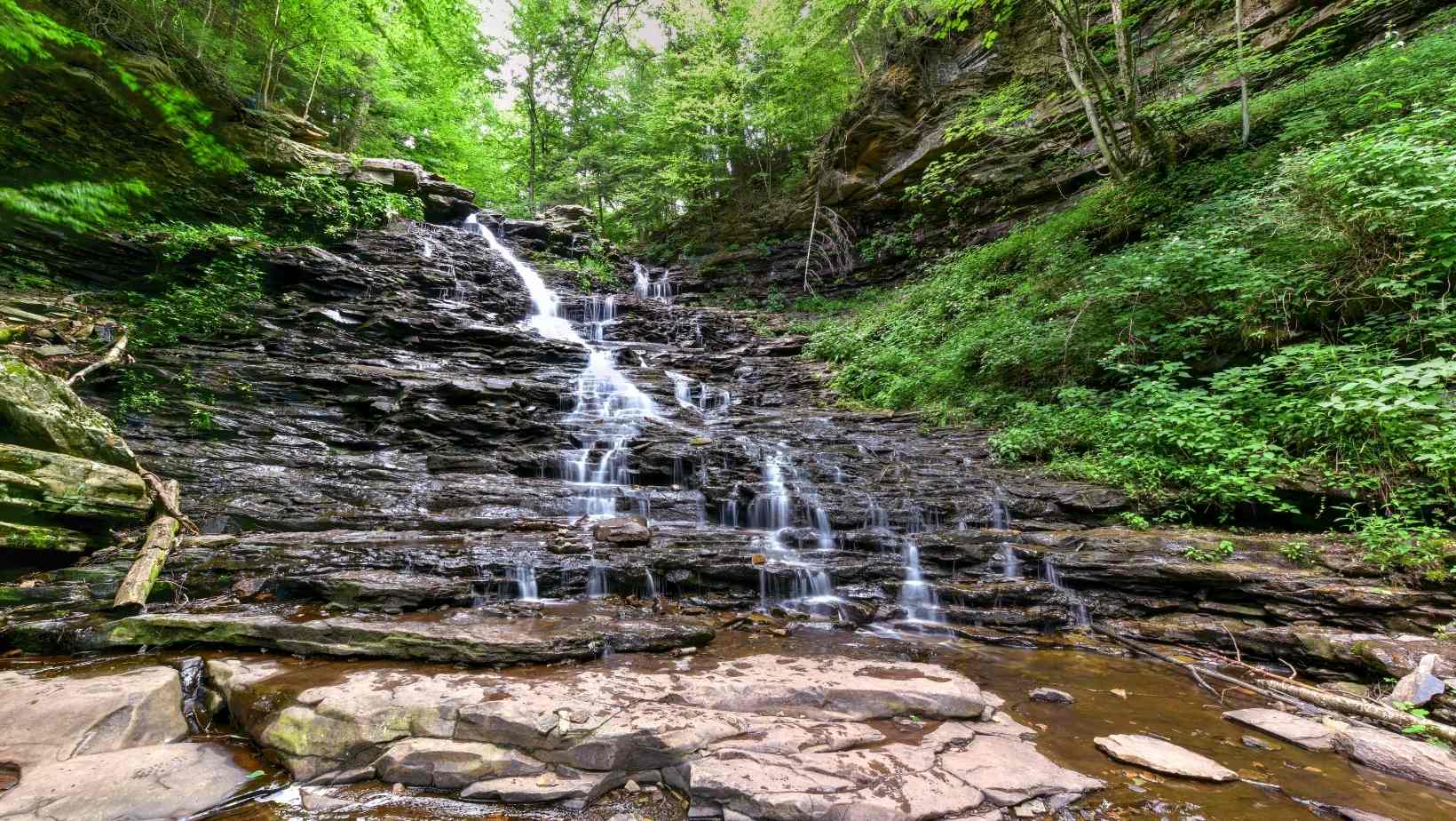 Pennsylvania's Cherry Springs State Park - Best Places for Stargazing in the US