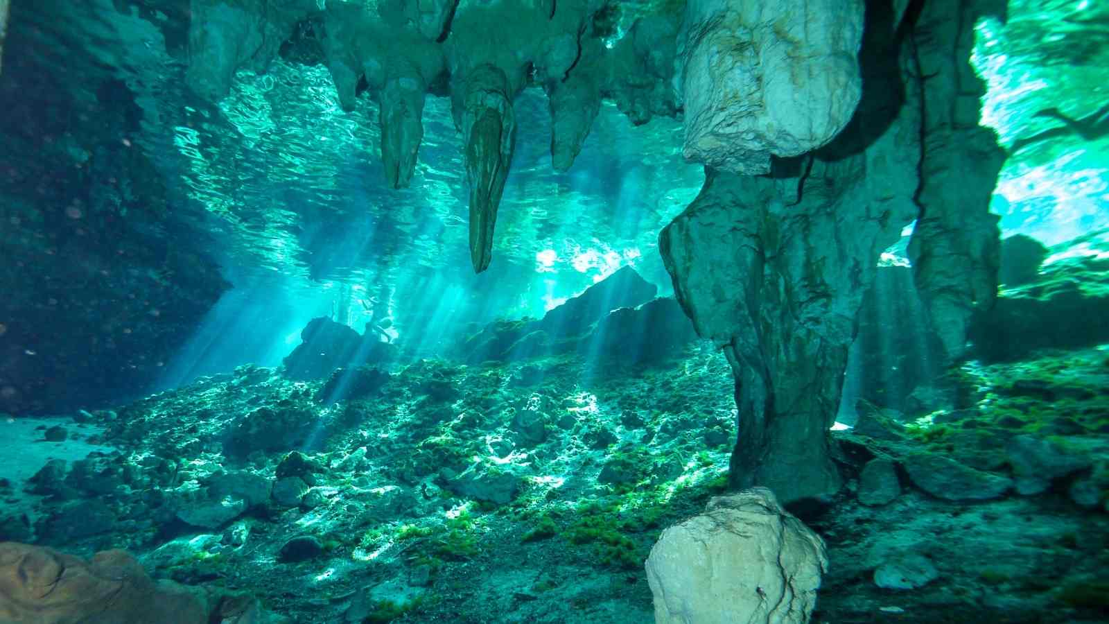 Snorkeling in the Cancun Area