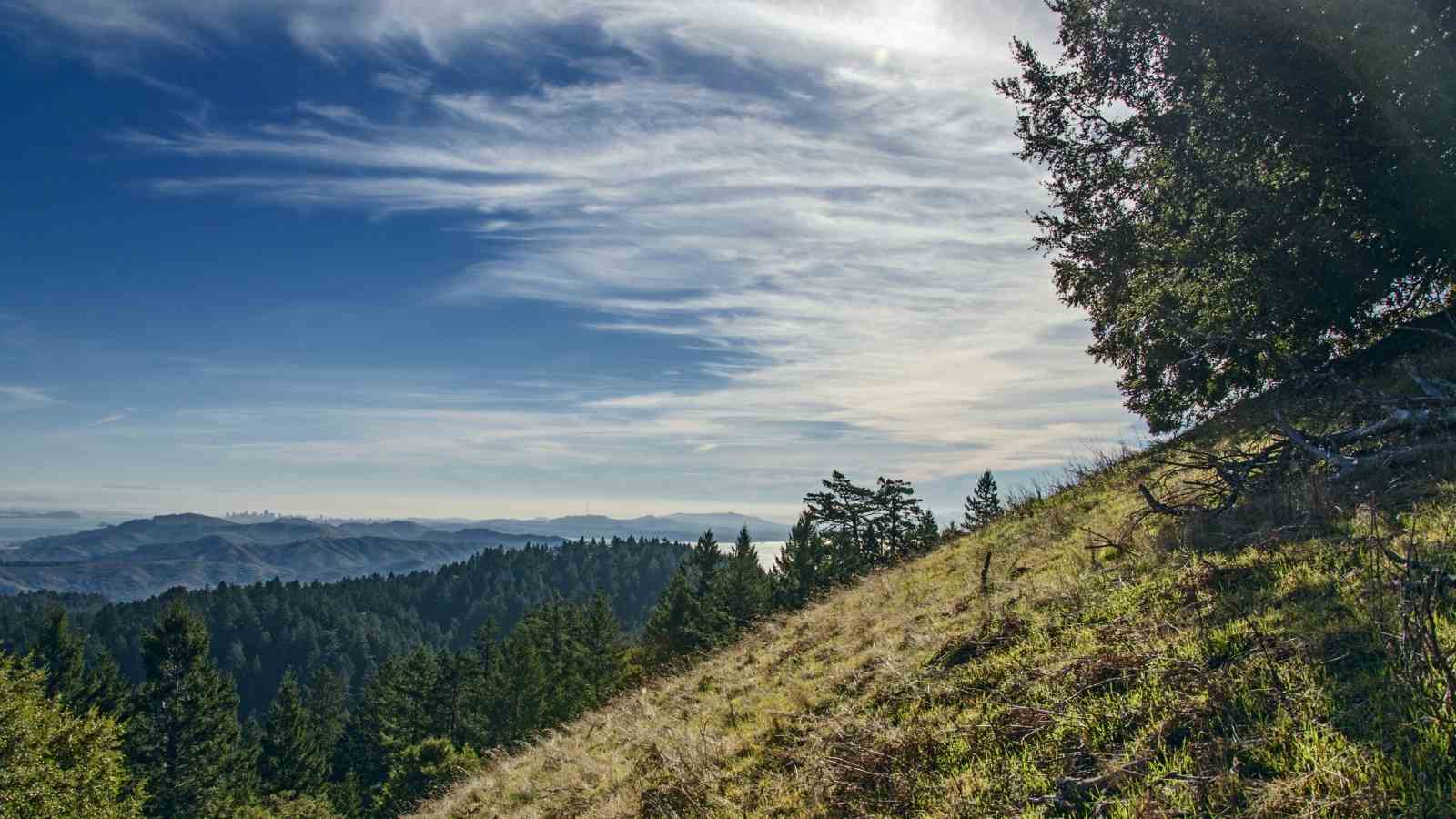 Visit Mt. Tam