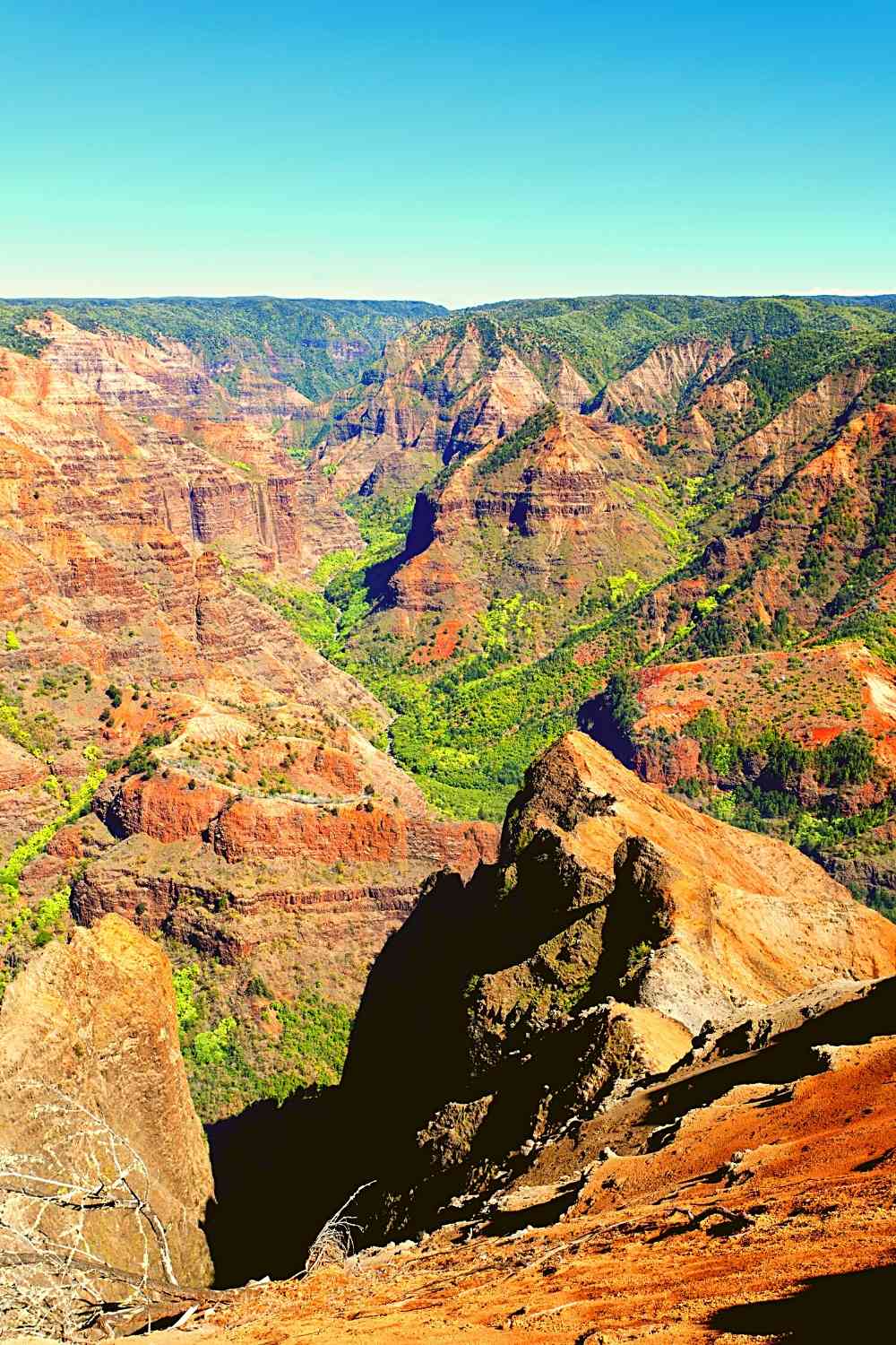 Waimea Canyon Hike