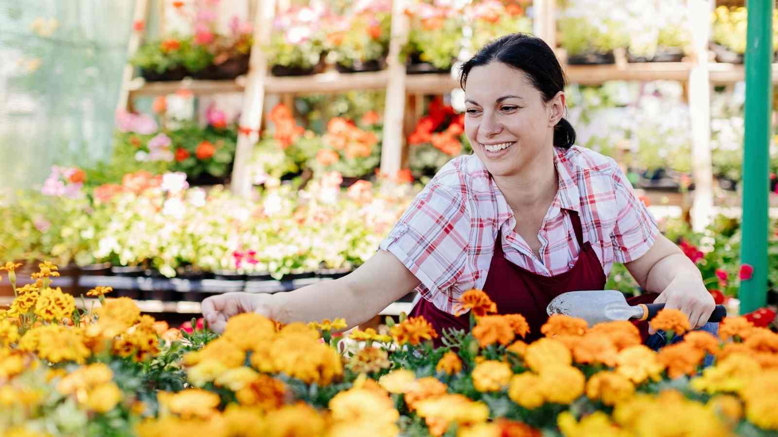 Seasonal Flowers