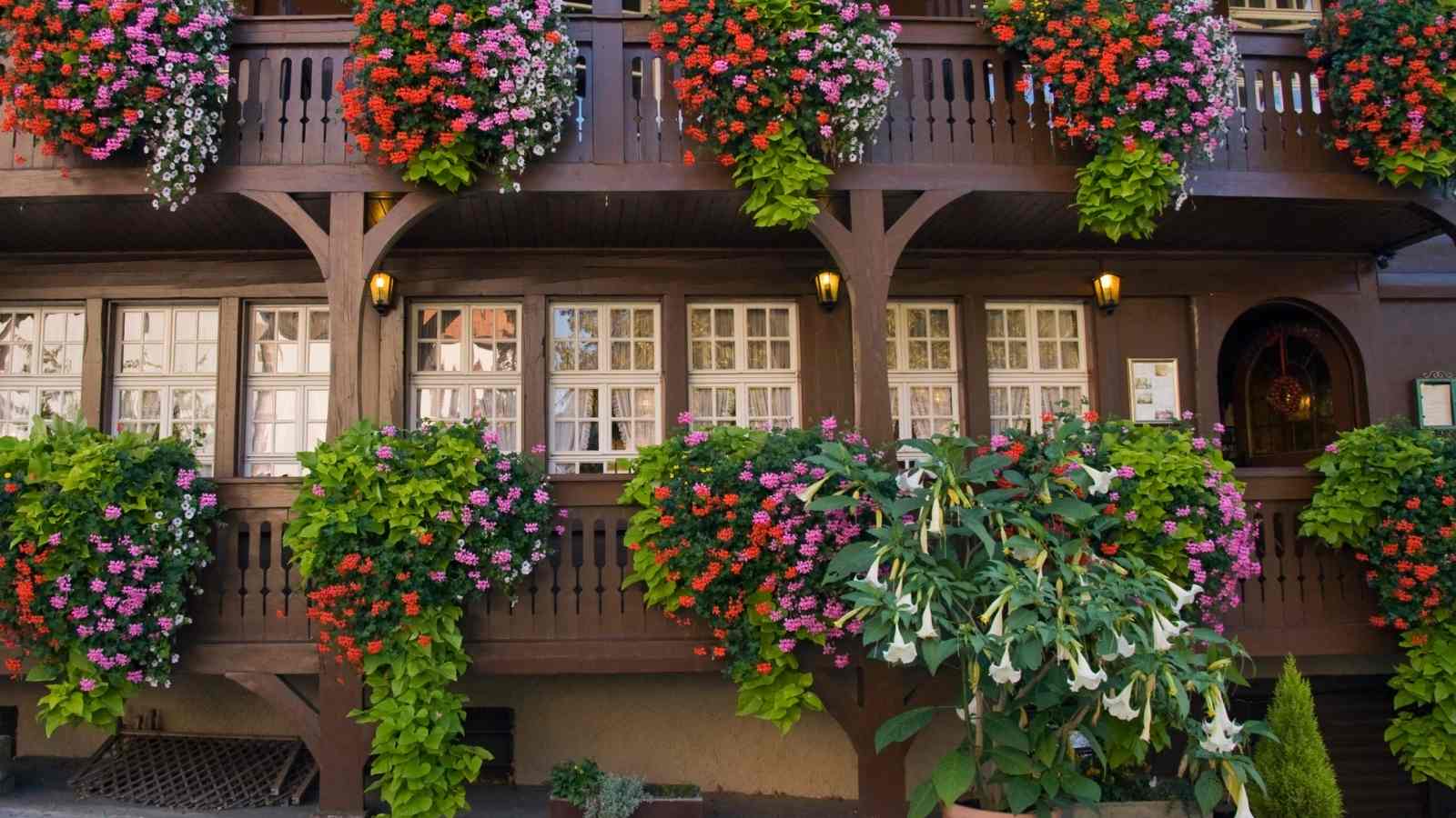 Balcony Flower Box Ideas