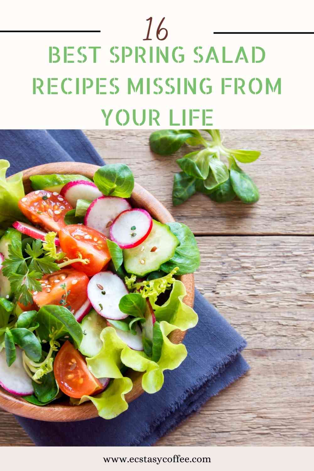 Best Spring Salad Recipes Missing From Your Life